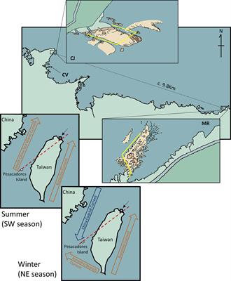 The effect of environmental factors on spatial-temporal variation of heterobranch sea slug community in northern Taiwan